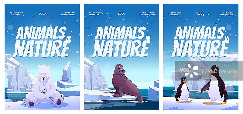 企鹅北极熊海豹海报图片素材