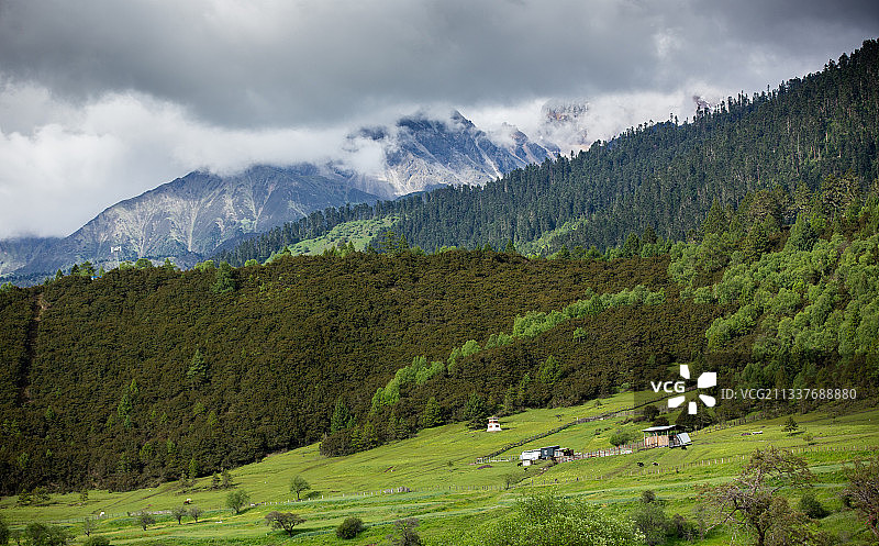 西藏的鲁朗林海图片素材