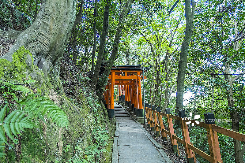 京都伏见稻荷大社图片素材