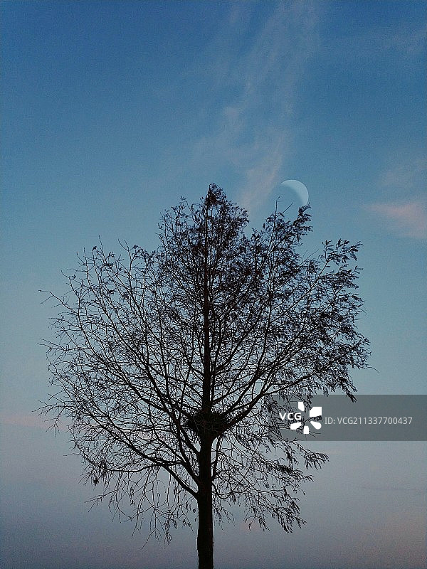 和谐（武汉狮子山）图片素材