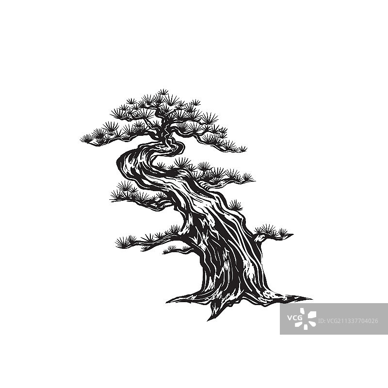 手绘日本松盆景速写图片素材