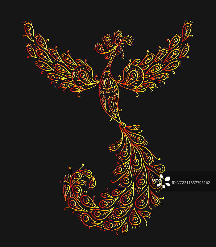 拥有华丽尾巴的火鸟凤凰图片素材