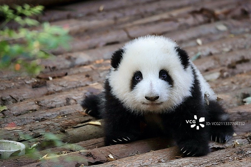 甜美宝宝图片素材