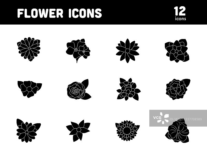 扁平风格BW配色花朵图标图片素材