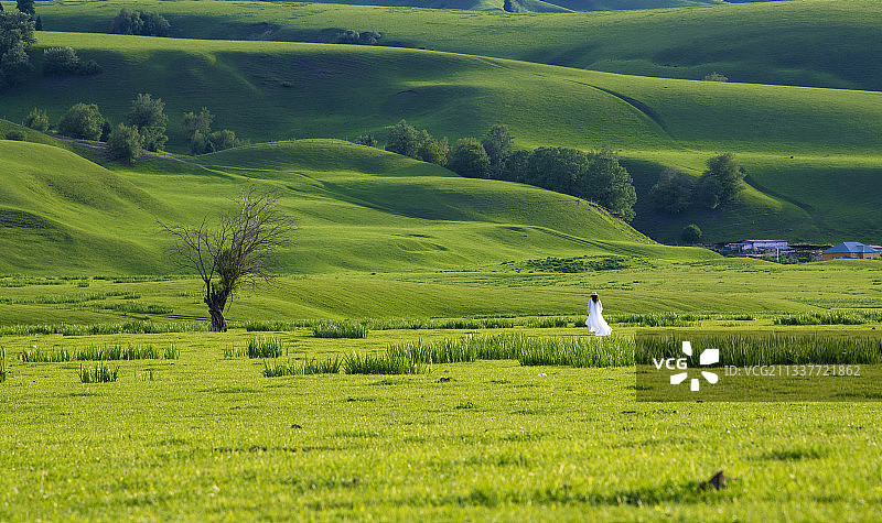 那拉提空中草原图片素材