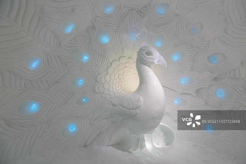 瑞典尤卡斯耶尔维冰雪酒店冰雕孔雀图片素材