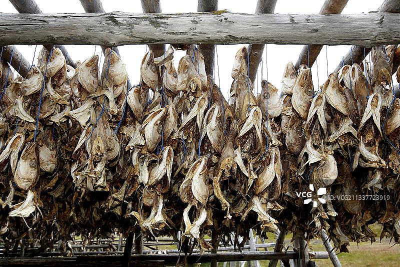 木架上的鱼头和鱼干，冰岛西北峡湾区图片素材