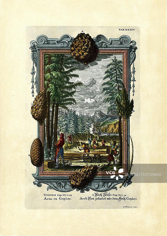 施伊希策《铜版圣经》诺亚方舟插画图片素材