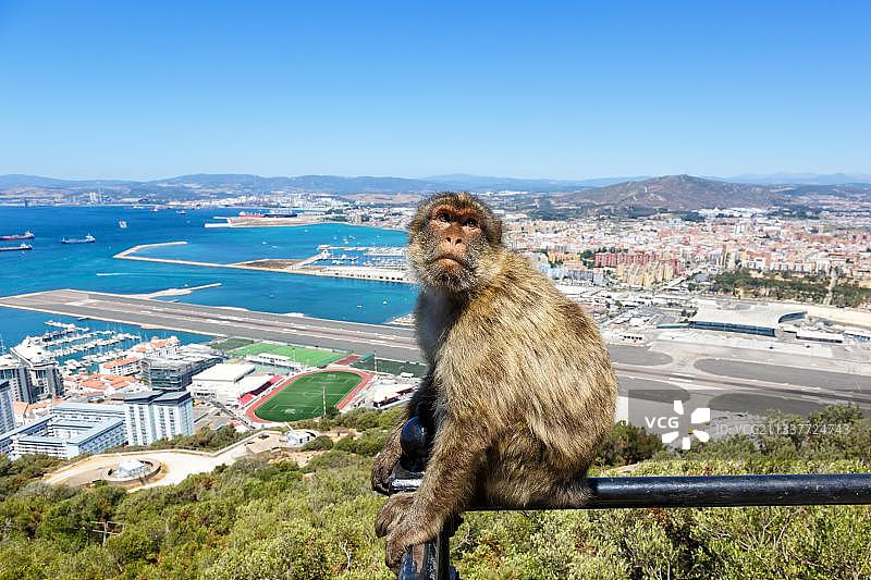 直布罗陀机场（GIB）概览与猕猴图片素材