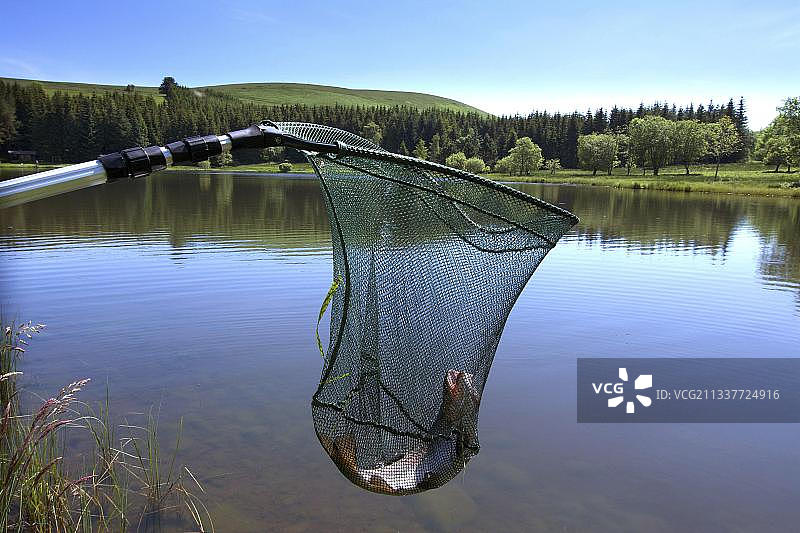 法国奥弗涅-罗讷-阿尔卑斯大区康塔尔省塞扎利耶高原湖泊中的渔网鳟鱼图片素材