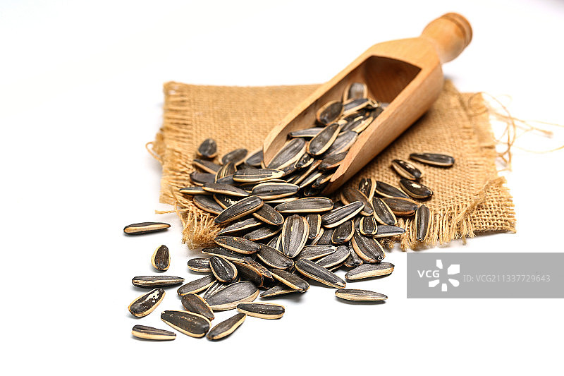 葵花籽放在白色背景上图片素材