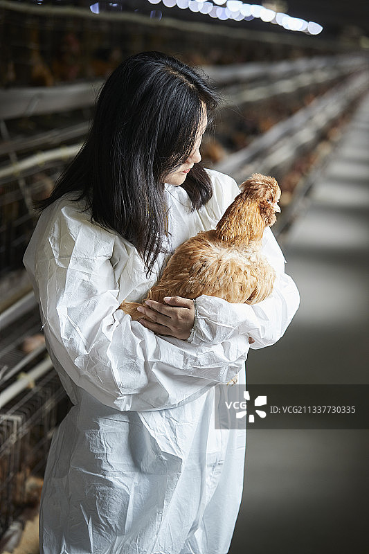 身穿防护服怀抱家禽的年轻女性饲养员图片素材