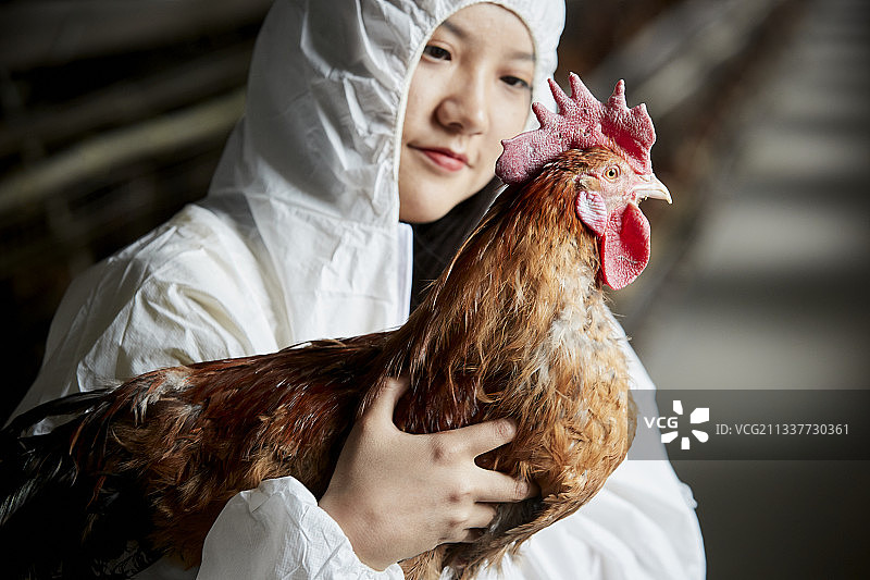 身穿防护服怀抱家禽的年轻女性饲养员图片素材