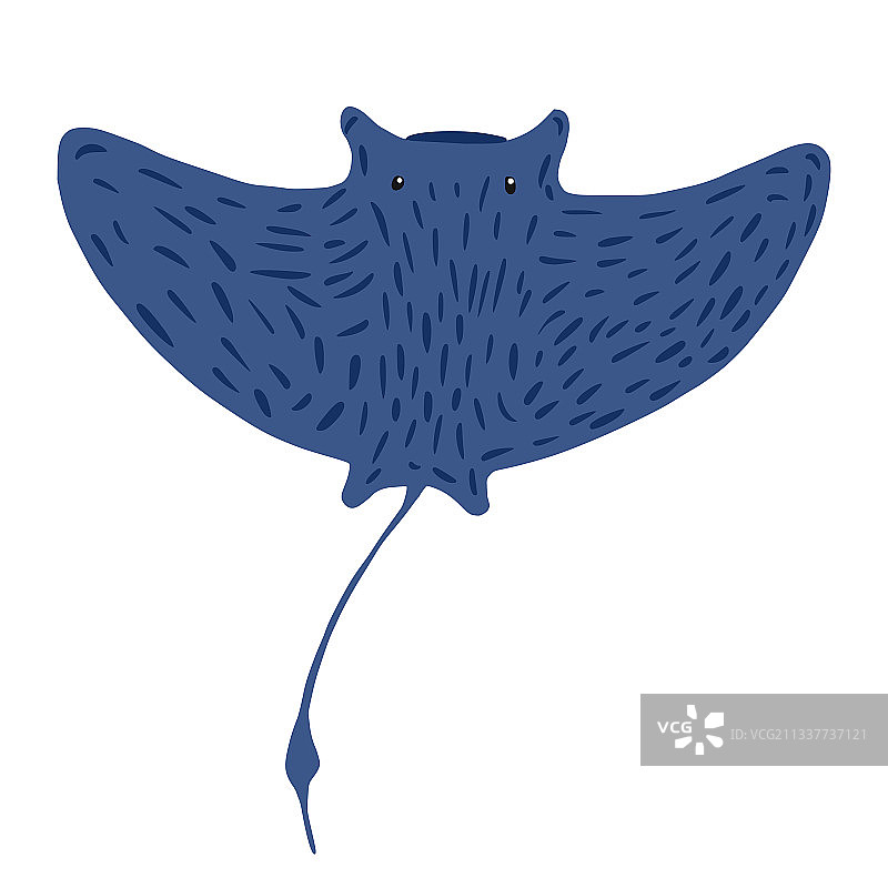 白色背景上的可爱黄貂鱼图片素材