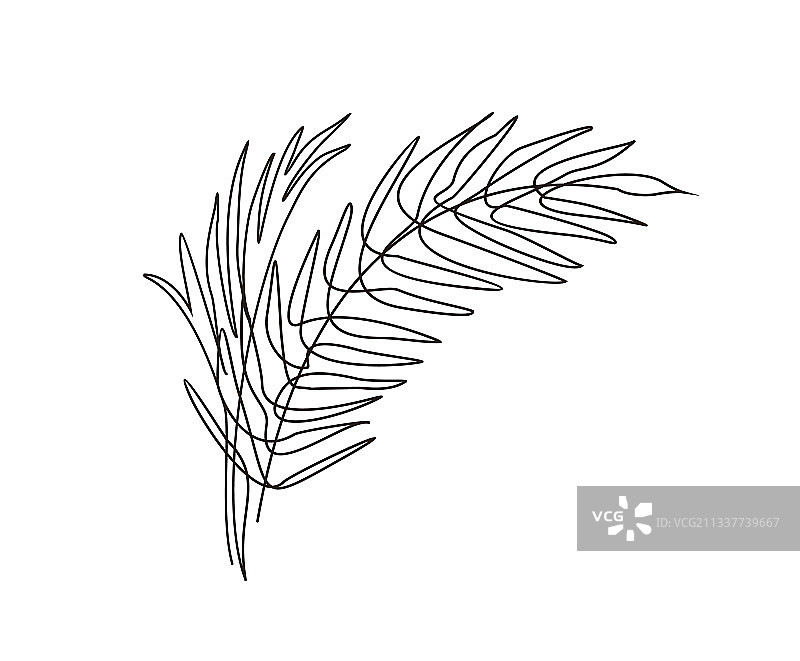极简棕榈叶连续线条画图片素材