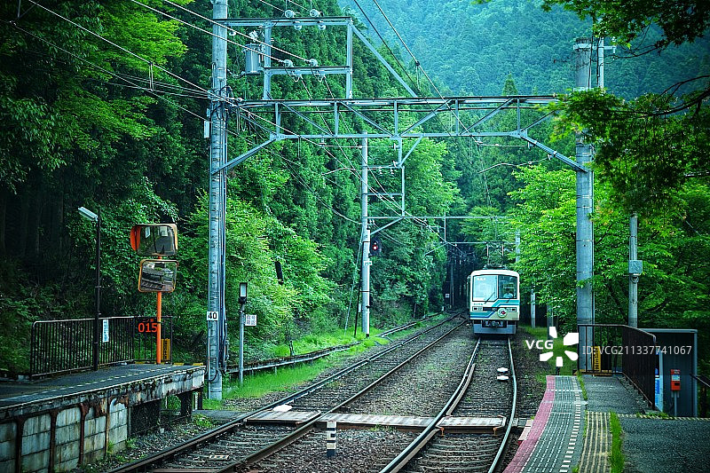 从山中来图片素材