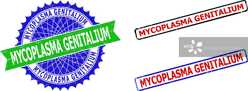 生殖支原体花结和矩形图片素材