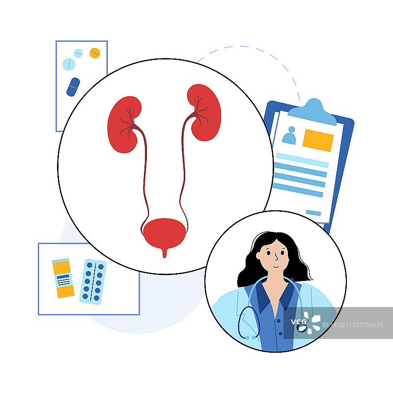 肾脏疾病概念图片素材