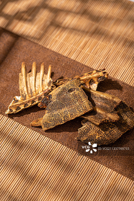 中草药鳖甲图片素材