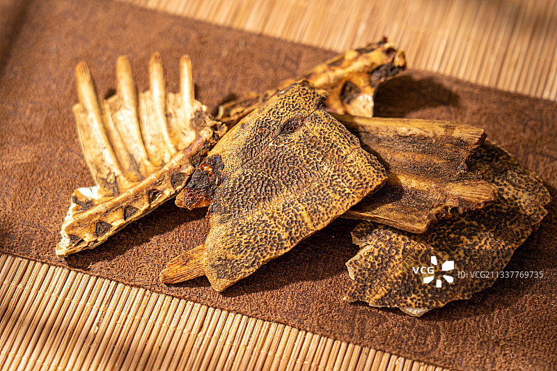 中草药鳖甲图片素材