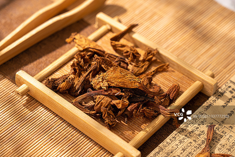 中草药凌霄花图片素材