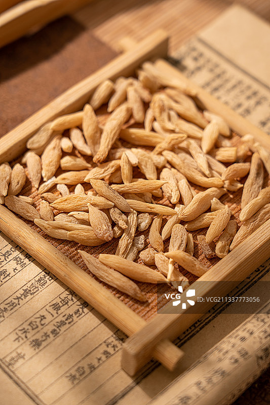 中草药麦冬图片素材