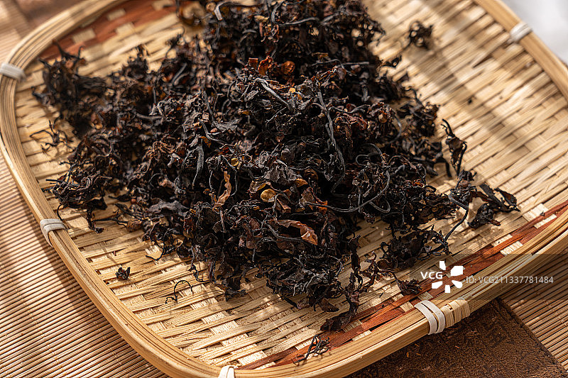 中草药海藻图片素材