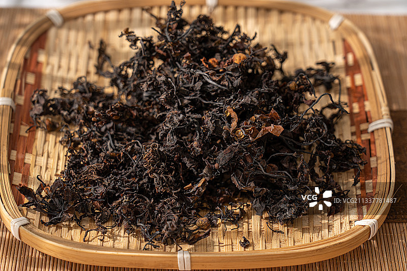 中草药海藻图片素材