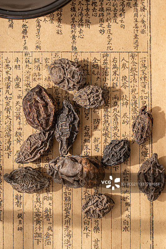 中草药诃子图片素材