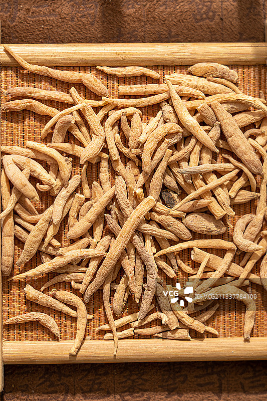 中草药太子参图片素材