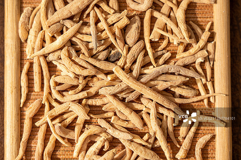 中草药太子参图片素材