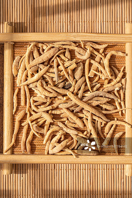 中草药太子参图片素材