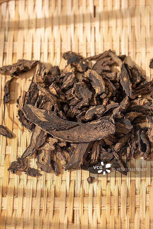 中草药玄参图片素材