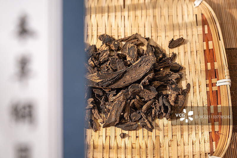 中草药玄参图片素材