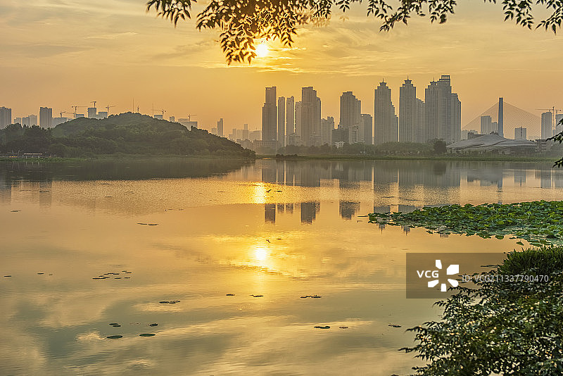 汉阳月湖图片素材