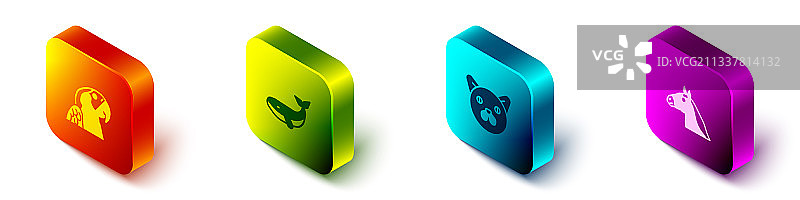 2.5D金刚鹦鹉鲸鱼猫马组合图片素材