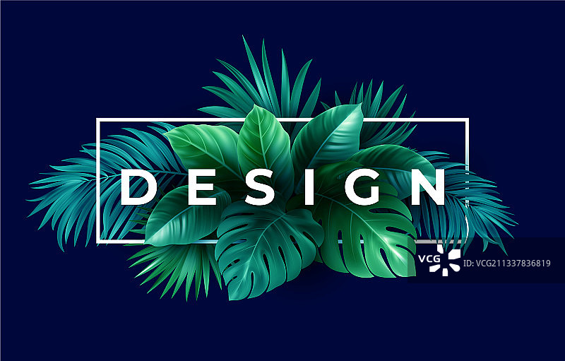 夏季banner或宣传单热带设计图片素材