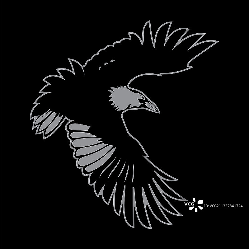 飞行中的黑色渡鸦鸟类标志图片素材