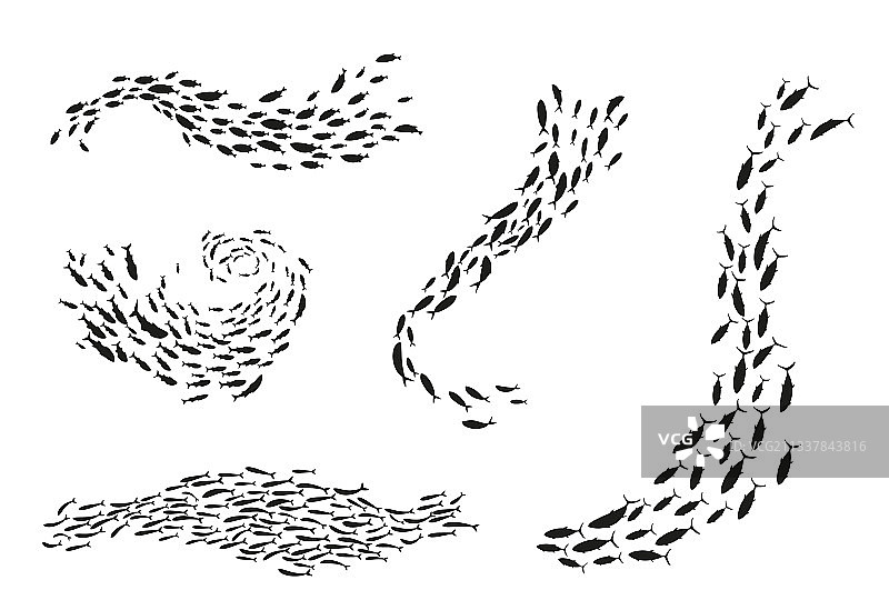 水下鱼群轮廓图片素材