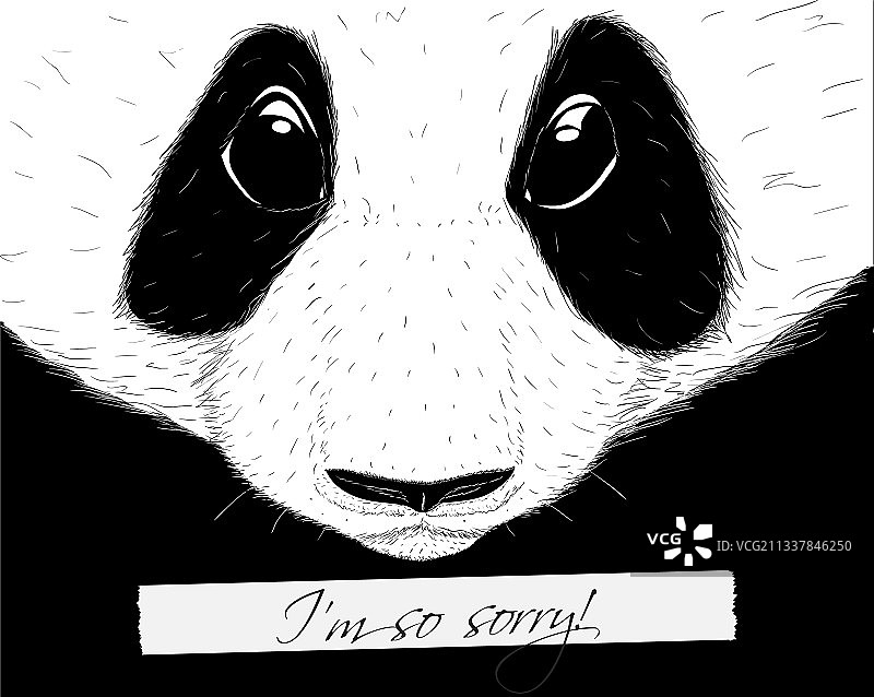 手绘素描风的熊猫说“抱歉”图片素材