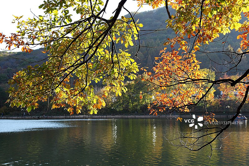 辽宁本溪关门山老边沟秋色图片素材