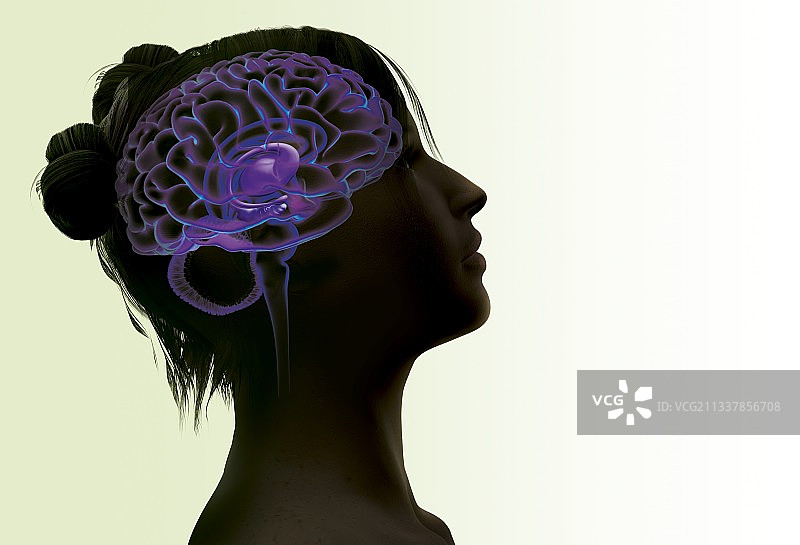 女人大脑艺术作品图片素材