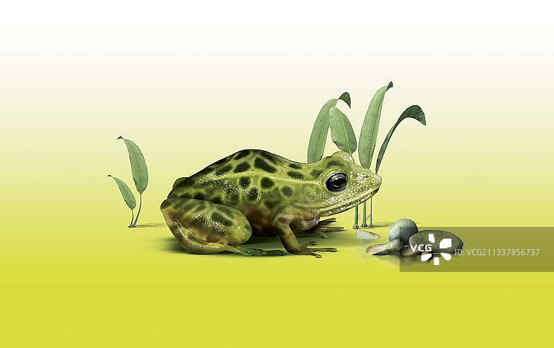 拉斯维加斯山谷豹蛙艺术作品图片素材