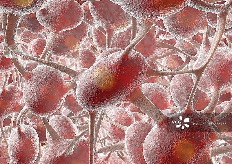 神经网络，艺术作品图片素材