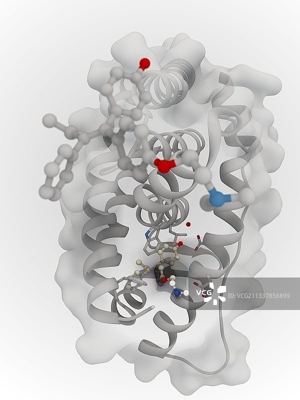 他莫昔芬抗癌药与ERR-γ图片素材