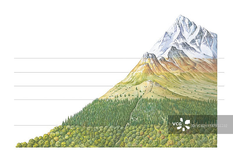 海拔植被带图片素材