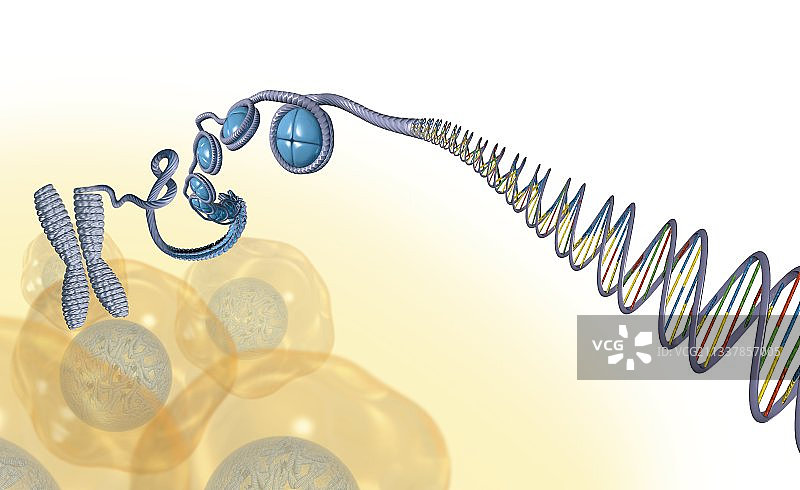 DNA包装艺术作品图片素材