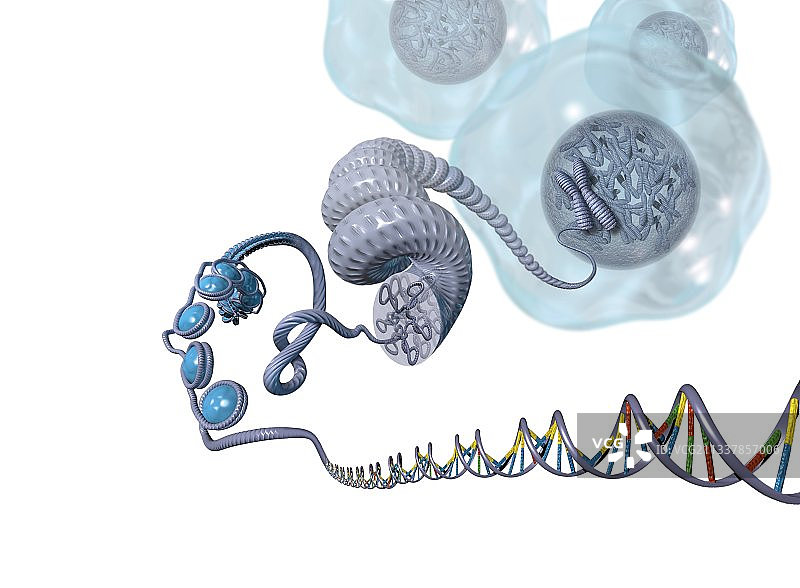 DNA包装艺术作品图片素材