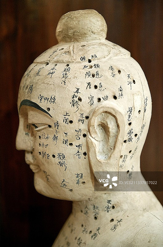 中国针灸模型图片素材