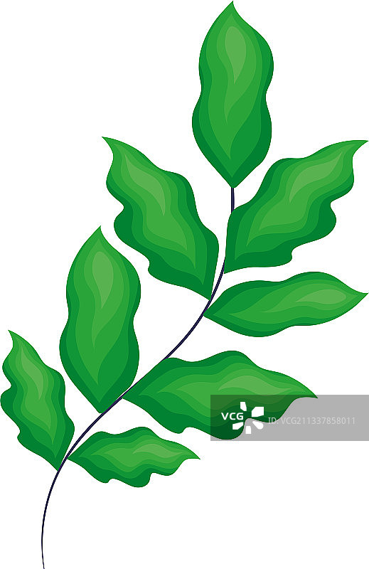 绿色植物图片素材